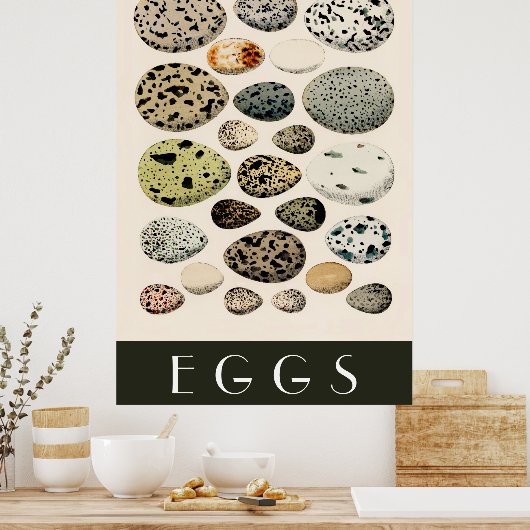 Eieren Poster (Keuken)