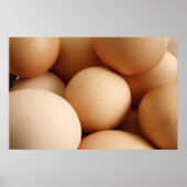Eieren Poster (Voorkant)