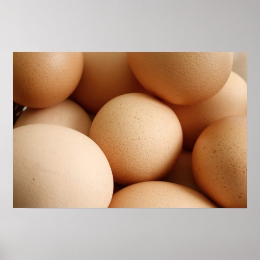Eieren Poster (Voorkant)