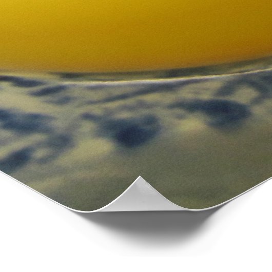 Eieren Poster (Hoek)