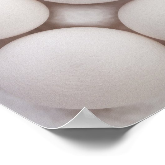 Eieren Poster (Hoek)