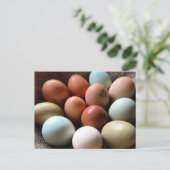 Eieren van alle shadden briefkaart (Staand voorkant)