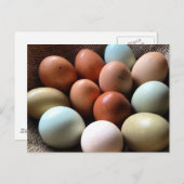 Eieren van alle shadden briefkaart (Voorkant / Achterkant)