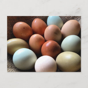 Eieren van alle shadden briefkaart