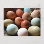 Eieren van alle shadden briefkaart (Voorkant)