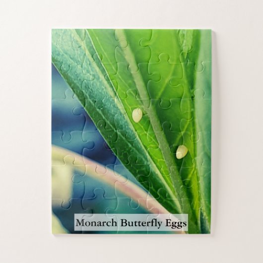 Eieren van de Monarchvlinder 30 stuks Legpuzzel (Verticaal)