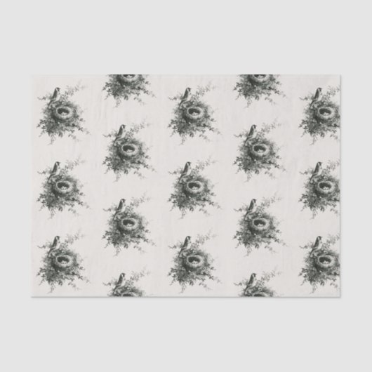 EIEREN VAN DOUANESTBIETTEN IN HET NEST TISSUEPAPIER (Voorkant)