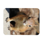 Eierkant Magneet (Horizontaal)