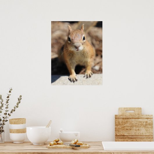 Eierkant Poster (Keuken)