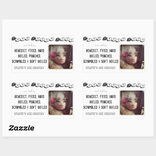 eierkarton sticker (Vel)