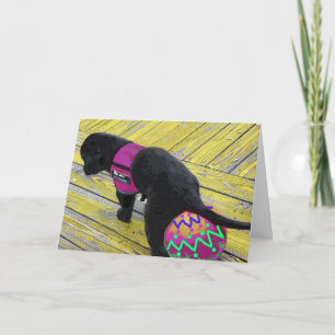 Eierleggende paaseieren Kaart