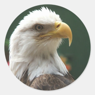 eierstokjes ronde sticker