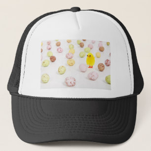 eiervanger trucker pet