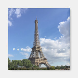 Eiffel Tower Paris Frankrijk Souvenir Magnet