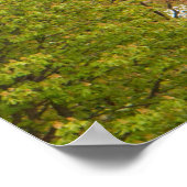 Eiffeltoren en Cherry Blossom Poster (Hoek)