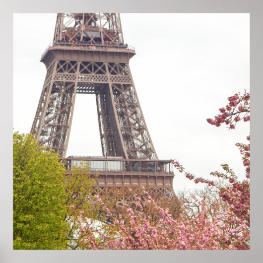 Eiffeltoren en Cherry Blossom Poster (Voorkant)