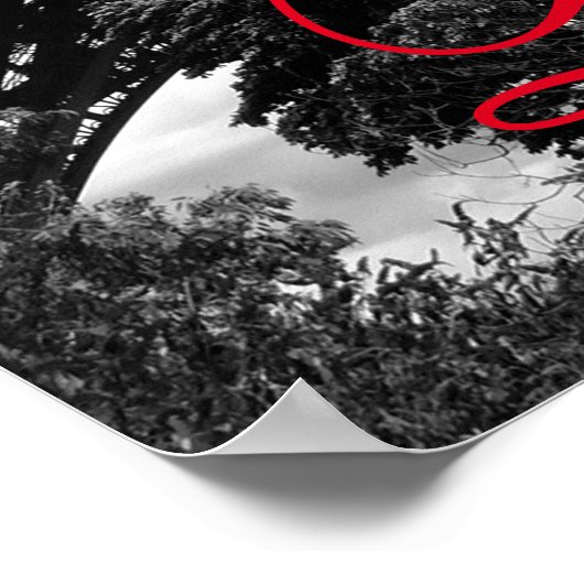 Eiffeltoren in Love City Parijs Zwart & Wit Rood Poster (Hoek)