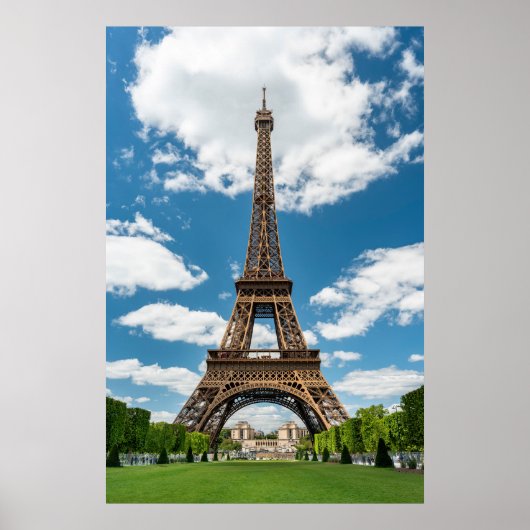 Eiffeltoren uitzicht vanuit Champ de Mars openbaar Poster (Voorkant)
