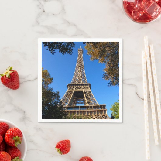 Eiffeltoren van Parijs in Frankrijk Servet (Insitu)