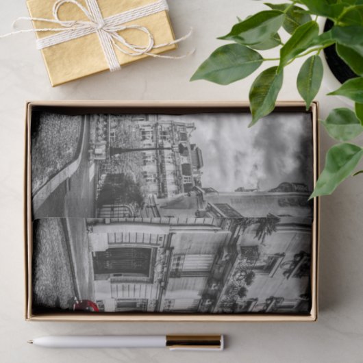 Eiffle Tower Black, White en Red. Tissuepapier (Geschenk)