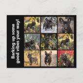 Eigen 9 x afbeeldingen + tekst briefkaart (Voorkant)