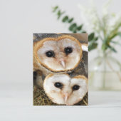 Eigen baby-schonuil briefkaart (Staand voorkant)