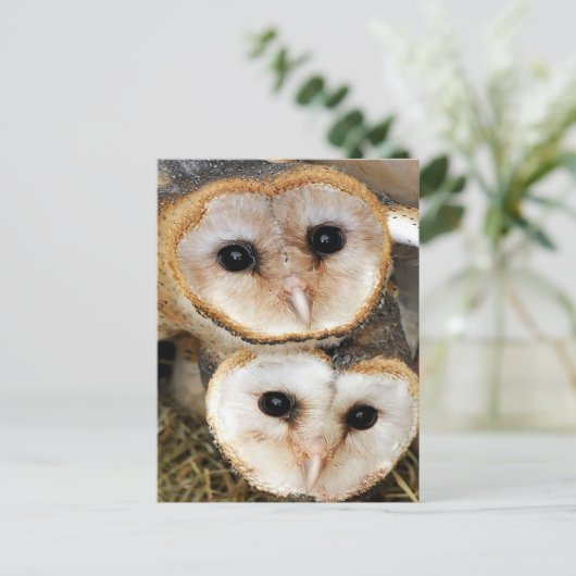 Eigen baby-schonuil briefkaart (Staand voorkant)