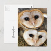 Eigen baby-schonuil briefkaart (Voorkant / Achterkant)