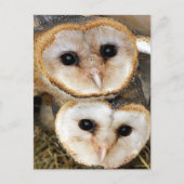 Eigen baby-schonuil briefkaart (Voorkant)