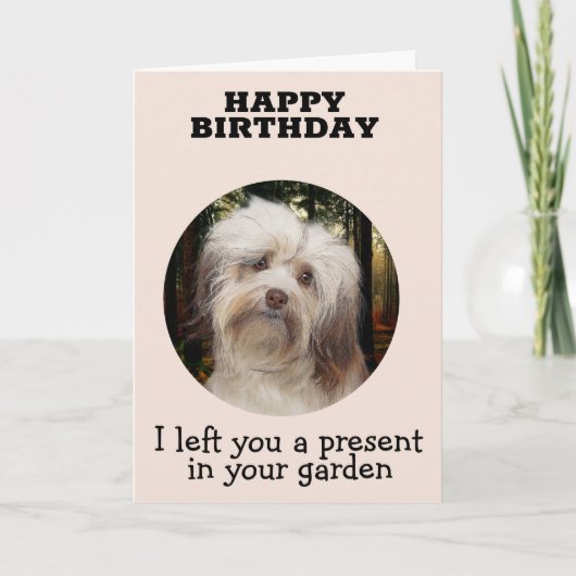 Eigen Birthday-Kaart uit uw havanese Bedankkaart (Voorkant)