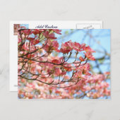 Eigen bloemen briefkaarten Roze Dogwood Flowers (Voorkant / Achterkant)