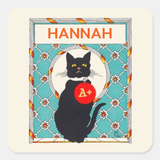 Eigen docent Graad toegekend aan kat Vierkante Sticker (Voorkant)