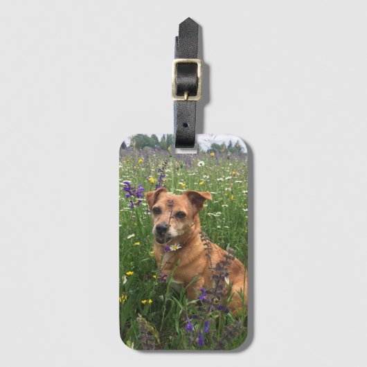 Eigen foto van je hond bagagelabel (Voorkant (verticaal))