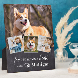 Eigen foto van Pet Dog Memorial Sympathie Keepomwi Fotoplaat