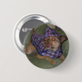 Eigen huisdieren: Scooby Ronde Button 5,7 Cm (Voorkant /achterkant)