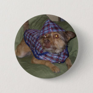 Eigen huisdieren: Scooby Ronde Button 5,7 Cm