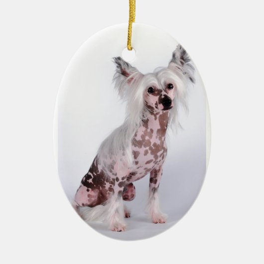 Eigen Keramisch Ornament (Voorkant)
