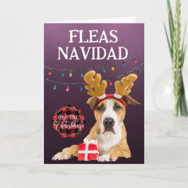 Eigen kerstkaart uit Staffordshire Terrier Bedankkaart