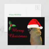 Eigen kokokokoevogel voor de kerstvakantie feestdagenkaart (Voorkant / Achterkant)