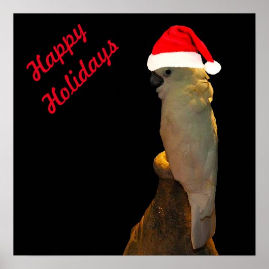 Eigen kokokokoevogel voor de kerstvakantie poster (Voorkant)