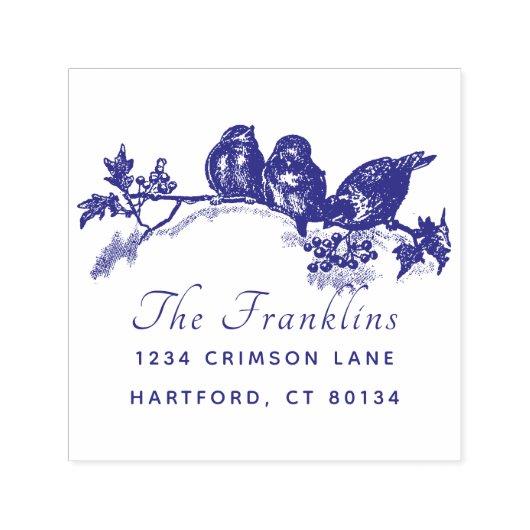 Eigen Logo Script Achternaam Retouradres Zelfinktende Stempel (Design)