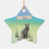 Eigen naam Blauw Russisch Kat Pet Keramisch Ornament (Voorkant)