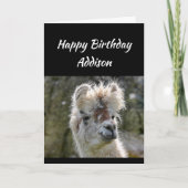 Eigen naam Fun Birthday Bad Hair Llama Animal Kaart (Voorkant)