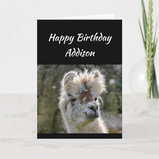 Eigen naam Fun Birthday Bad Hair Llama Animal Kaart (Voorkant)