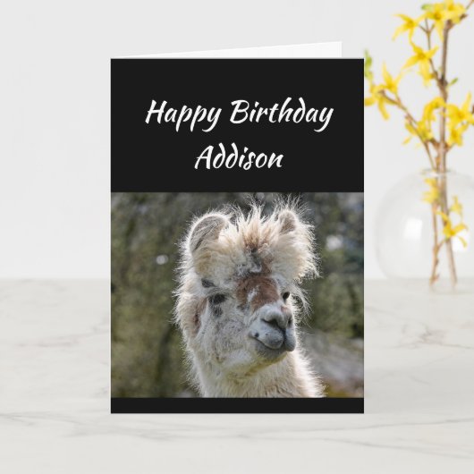 Eigen naam Fun Birthday Bad Hair Llama Animal Kaart (Gele Bloem)