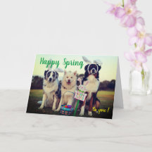 Eigen naam Happy Spring-honden esthetische groeten