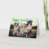 Eigen naam Happy Spring-honden esthetische groeten Kaart (Voorkant)