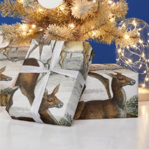 Eigen naam Red Deer Hart, Hind, Roebuck Musk Deer Cadeaupapier