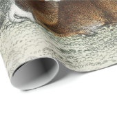 Eigen naam Red Deer Hart, Hind, Roebuck Musk Deer Cadeaupapier (Rol Hoek)