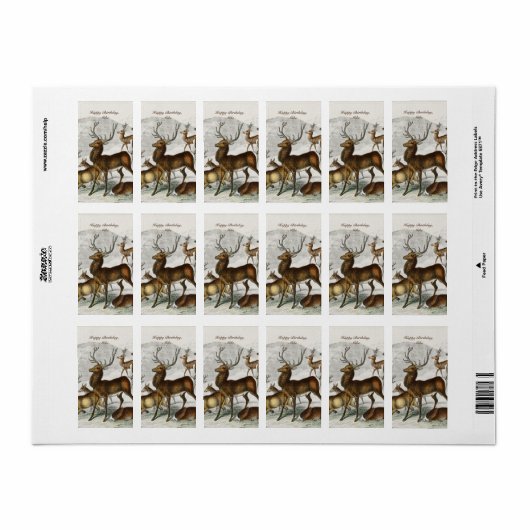 Eigen naam Red Deer Hart, Hind, Roebuck Musk Deer Etiket (Full Sheet)